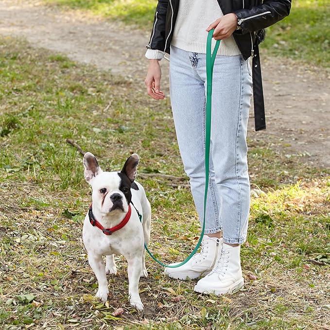 Dogline Biothane Waterproof Dog Leash Strong Coated Nylon Webbing with Black Hardware Odor-Proof Easy to Clean High Performance for Small or Large Dogs Made in USA 4 or 6 ft Lead, Teal