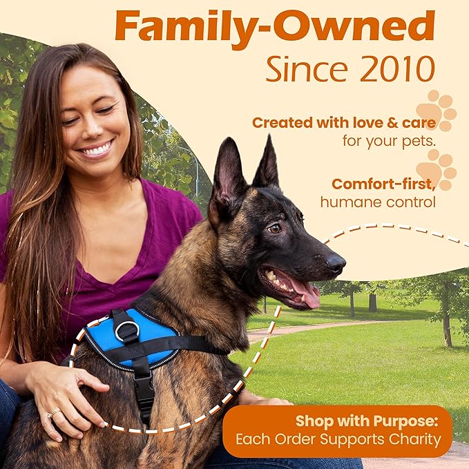 Bark Appeal Aqua Blue No-Pull Dog Harness for Extra Small Sized Pets – Adjustable, Reflective Vest with 3 Leash Clips for Added Control, Easy Walks & Training – XS