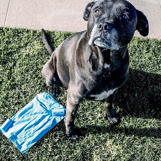 Wooflinen 100% Compostable Dog Poop Bags - EN13432 Home Compost Certified Dog Waste Bags, 240 Bags (16 Rolls), Made from Corn - Easy Open - Large, Thick Poop Bags for Dogs