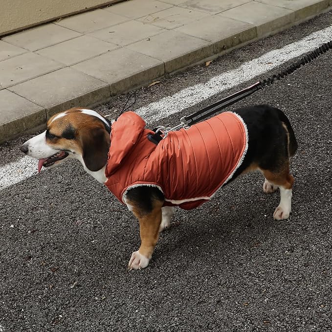 Fleece Lining Dog Hoodie with Harness Built in,Extra Warm Small Dog Jacket in Winter Puppy Coats with Drawstring Hooded,Orange S