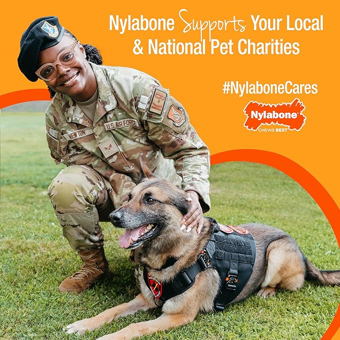 Nylabone Real Wood Stick Toy Strong Chew Toy for Dogs, Rubber Dog Toys for Moderate & Aggressive Chewers, Bacon Flavor, X-Large - 50+ lbs, 1 Count
