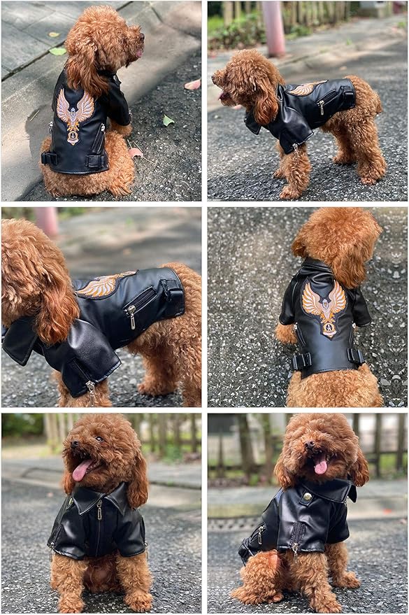 Lovelonglong Cool Dog Leather Jacket, Warm Coats Dogs Windproof Cold Weather Coats for Large Medium Small Dogs with Eagle Embroidery Black XXL