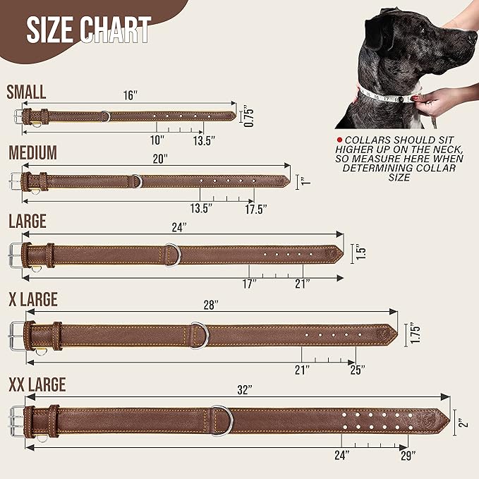 Riparo Brown Leather Dog Collar - Heavy Duty Wide Dog Collar for Small, Medium, Large and Extra Large Dogs with Dog Tag Holder (L: 1.5" Wide for 17"-21" Neck, Brown)