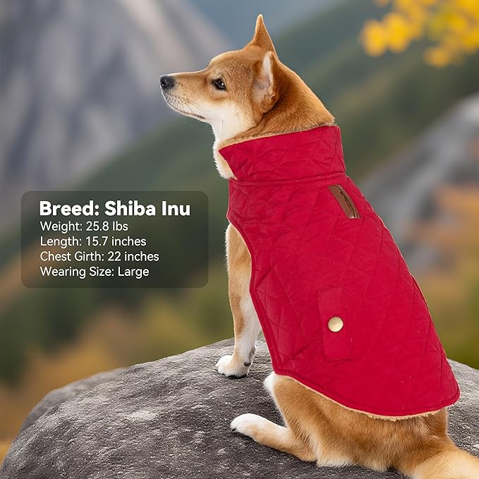 Dog Coat, Warm Soft Dog Winter Coats for Small Dogs, Waterproof Windproof Dogs Adjustable Jacket with Fleece Lined Turtleneck Doggy Snowsuit with Leash Hole, Red Large