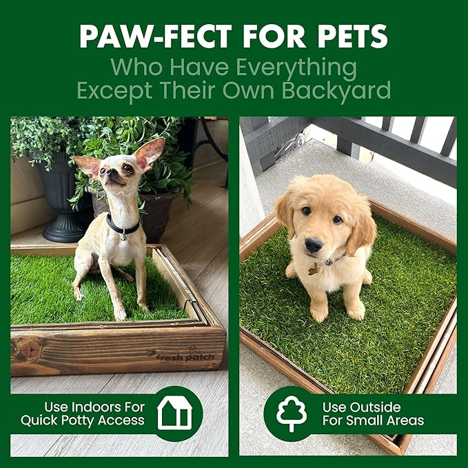 Fresh Patch Real Grass Patch for Dogs, Cats, and Large Pets 15-30 Pounds – Disposable Pet Grass Pee Pads – Indoor and Outdoor Potty Training Mat (24 Inches x 24 Inches)