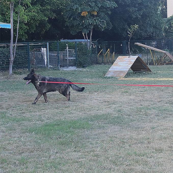 Dog/Puppy Obedience Recall Training Agility Lead - 15ft 20ft 30ft 40ft 50ft Training Leash - Great for Play, Camping, or Backyard (Military Green, 20 Feet)