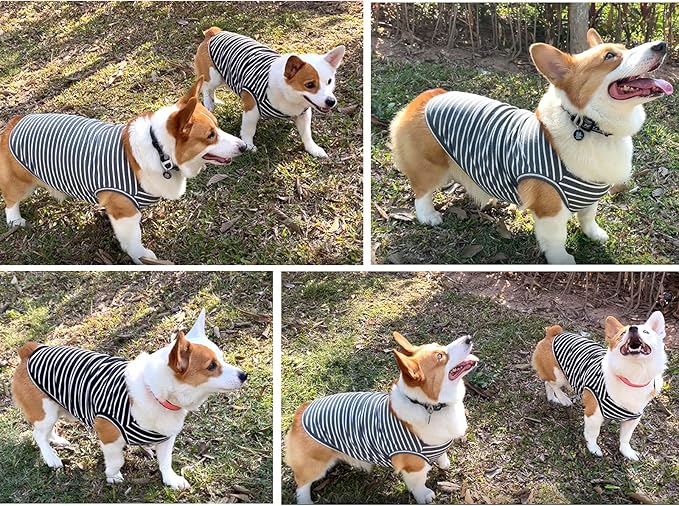 Koneseve Dog Shirt Vest Lightweight Stretchy Dog T-Shirts Soft Cool Sleeveless Stripe Vests Breathable Clothes for Puppy Kitty Cats Small Medium Large Dogs 2 Pack Black + Grey [ 6XL ]
