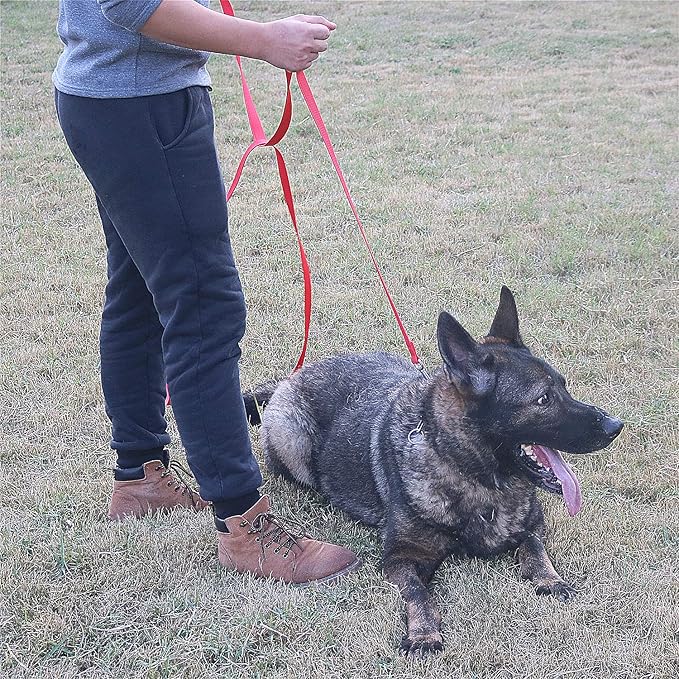 Dog/Puppy Obedience Recall Training Agility Lead - 15ft 20ft 30ft 40ft 50ft Training Leash - Great for Play, Camping, or Backyard - Red 20ft (20Feet, Red)