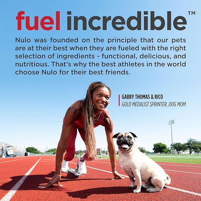 Nulo Freestyle Small Breed Dog Food, Premium Adult and Puppy Grain-Free Dry Smaller Sized Kibble Food, with BC30 Probiotic for Healthy Digestion Support , 14 Pound (Pack of 1)