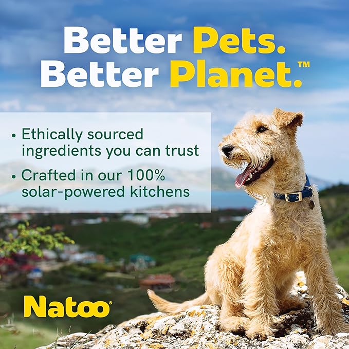 NATOO Biscuits for Small Dogs & Puppies Crunchy Dog Treats, Sweet Potato & Pumpkin Healthy Natural Canine Biscuits, Rich in Omega 6, Prebiotics & Fiber, Antioxidants for Immunity (8 oz)