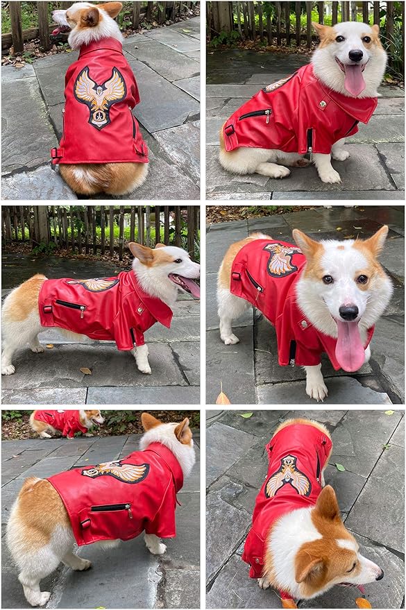 Lovelonglong Cool Dog Leather Jacket, Warm Coats Dogs Windproof Cold Weather Coats for Large Medium Small Dogs with Eagle Embroidery Red S