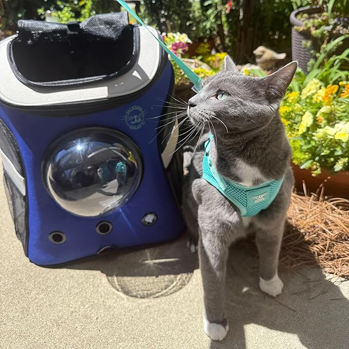 Travel Cat x Jackson Galaxy Harness and Leash Set - Adjustable Fit Mesh Cat Harness with Nylon Leash - Comfort, Escape Proof Harness for Cats, Kitten for Outdoor Walking, Hiking (Medium)