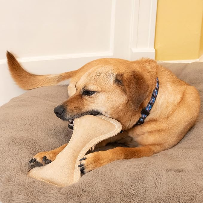 SPOT Dura-Fused Leather Bone- Durable Dog Toy with Squeaker, Real Leather & Jute Fabric, Interactive Toy for Moderate & Aggressive Chewers, Medium & Large Dogs and Puppies, 9 inch