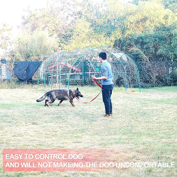 Dog/Puppy Obedience Recall Training Agility Lead -15ft 20ft 30ft 40ft 50ft Training Leash - Great for Play, Camping, or Backyard - Black 50ft