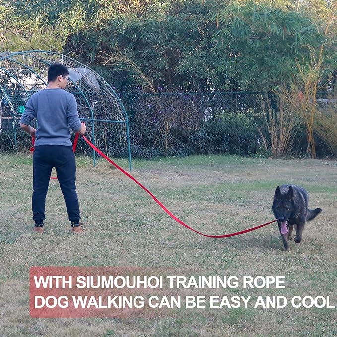 Dog/Puppy Obedience Recall Training Agility Lead - 15ft 20ft 30ft 40ft 50ft Training Leash - Great for Play, Camping, or Backyard - Red 15ft (15Feet, Red)