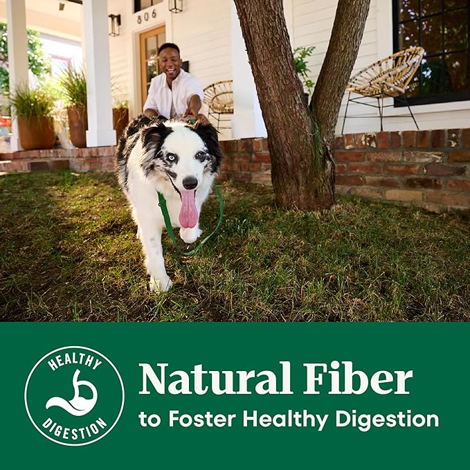 Nutro Natural Choice Lamb & Brown Rice Adult Large Breed Dog Food Dry Recipe, 36 lb. Bag