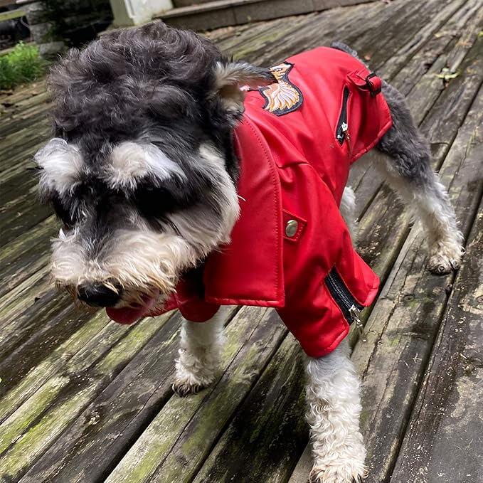 Lovelonglong Cool Dog Leather Jacket, Warm Coats Dogs Windproof Cold Weather Coats for Large Medium Small Dogs with Eagle Embroidery Red M