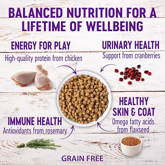 Wellness Natural Pet Food Complete Health Natural Grain Free Deboned Chicken & Chicken Meal Dry Cat Food, 11.5 Pound Bag (Pack of 2)