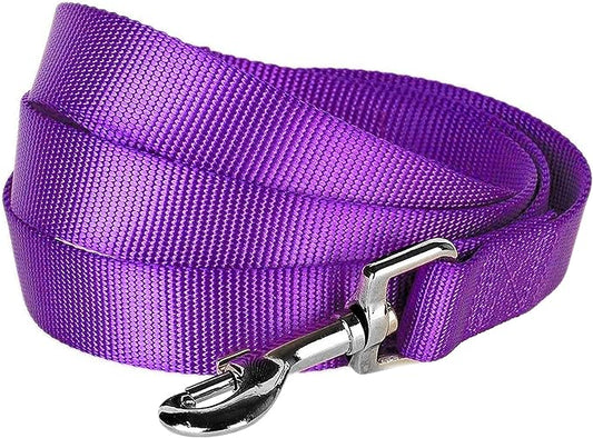 Blueberry Pet Essentials Dark Orchid Dog Leash for X-Small -5' * 3/8" Dogs | Heavy Duty Nylon Lead | Lightweight Puppy & Cat Leash for Walking & Training