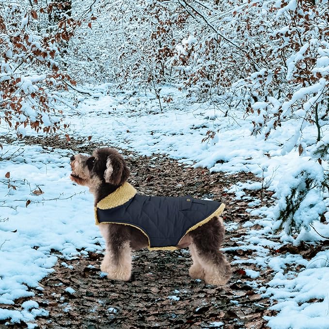 Queenmore Warm Puffer Dog Coat, Quilting Winter Jacket Ultra Thick Plush Lining with Storage Pockets (Green, X-Small)