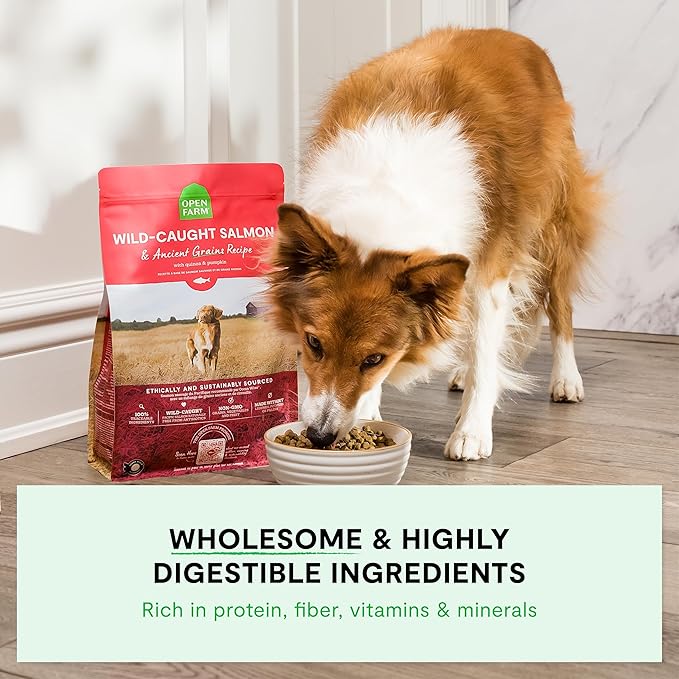Open Farm, Ancient Grains Dry Dog Food, Protein-Rich & Nutrient Dense, 90% Animal Protein Mixed with Non-GMO Fruits, Veggies and Superfoods, Homestead Turkey Recipe, 4lb Bag