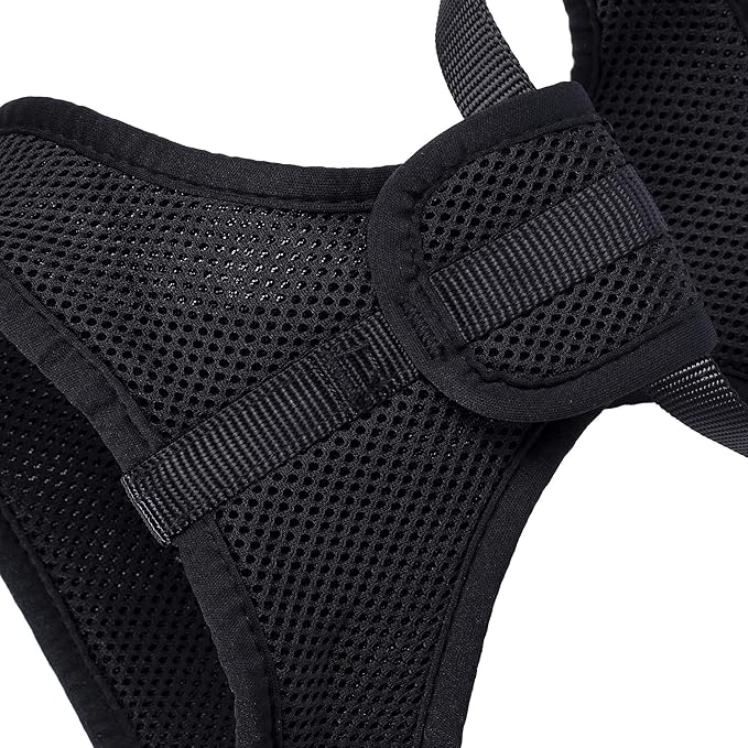 Mile High Life Step in Dog Harness for Small Dogs No Pull, Easy Get on Air Mesh Vest Harness, Adjustable Easy Closures Both Neck and Chest (Black, S Chest 13.1"-19.6")
