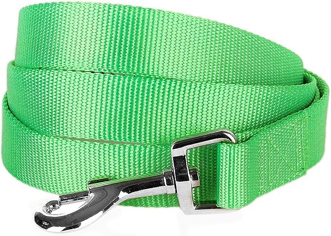 Blueberry Pet Essentials Neon Green Dog Leash for Small -5' * 5/8" Dogs | Heavy Duty Nylon Lead | Lightweight Puppy & Cat Leash for Walking & Training