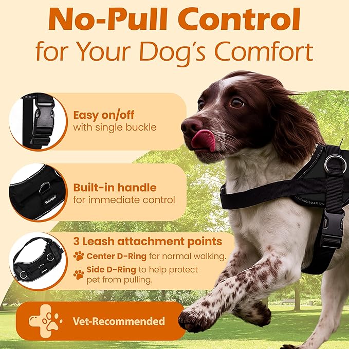 Bark Appeal Black No-Pull Dog Harness for XS to Small Sized Pets – Adjustable, Reflective Vest with 3 Leash Clips for Added Control, Easy Walks & Training – Small