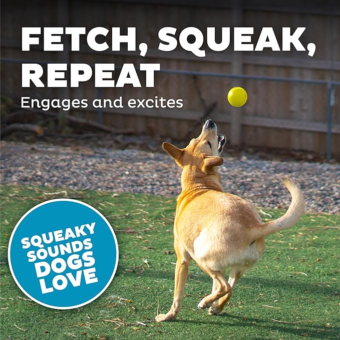 Outward Hound by Planet Dog Squeak Ball Bouncy Fetch Dog Toy, Yellow