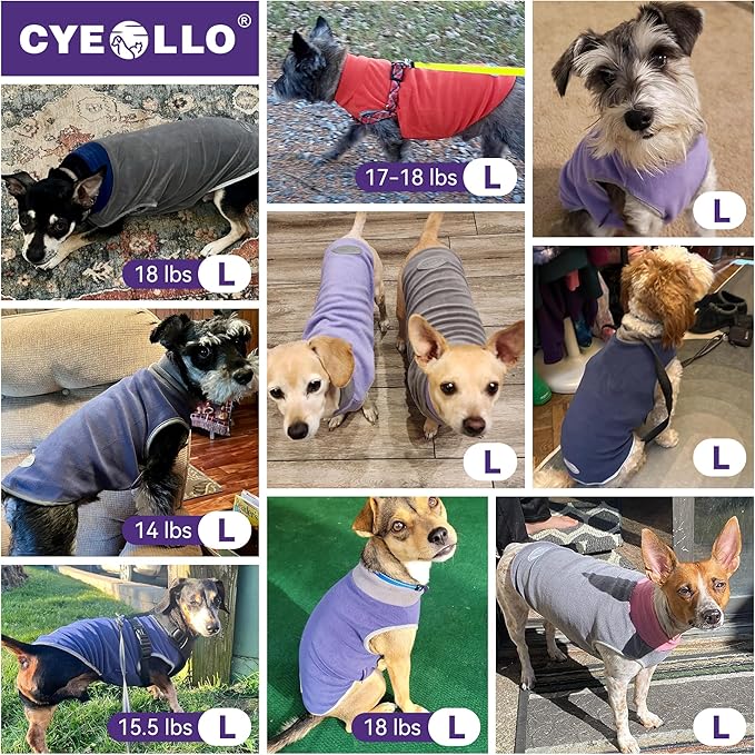 cyeollo 2 Pack Fleece Dog Sweater Pullover Dog Sweatshirt Reflective Lightweight Sweaters Doggie Clothes for Small Dogs Boy Girl Pet Apparel Blue, Mist Blue, L