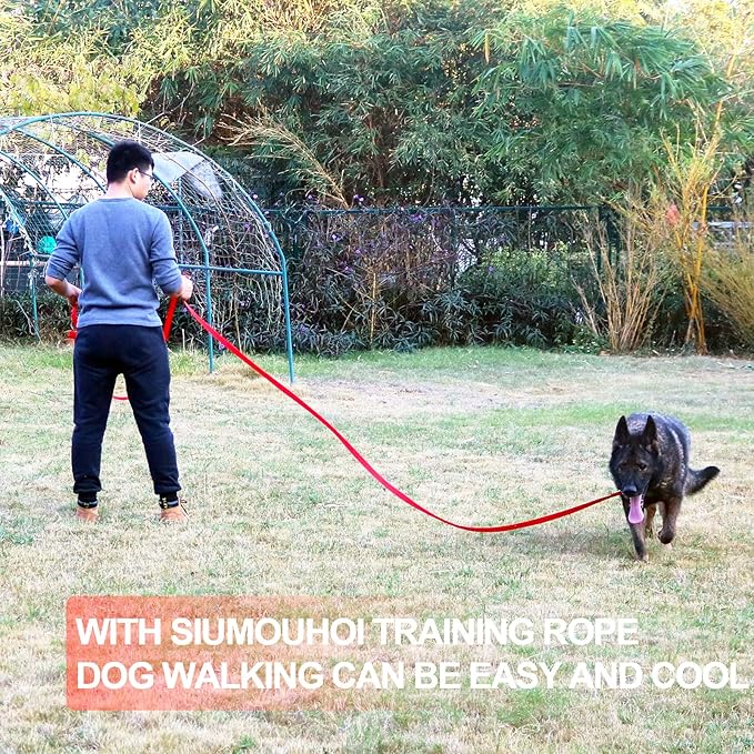 Dog/Puppy Obedience Recall Training Agility Lead - 15ft Long Training Leash，3/4in Wide - Great for Play, Camping, or Backyard (15Feet, Black)