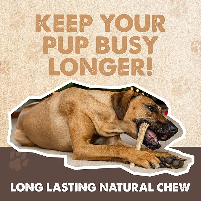 Mighty Paw Split Elk Antlers for Dogs (Sourced in The USA) | 2 Whole Large 8"+ Long Lasting Bones for Aggressive Chewers - Naturally Shed Split Deer Antler for Dogs - Low Odor Chews (Pack of 2)