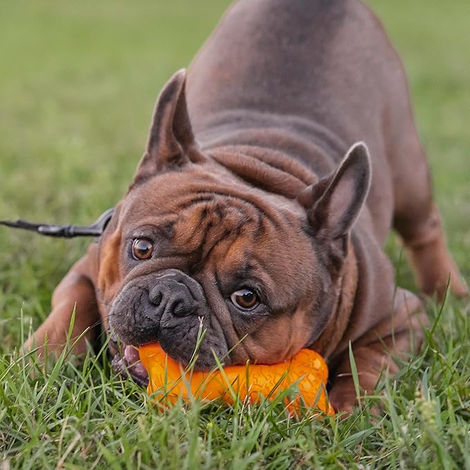 Chew King by Mammoth Bacon Flavor Rubber Bone