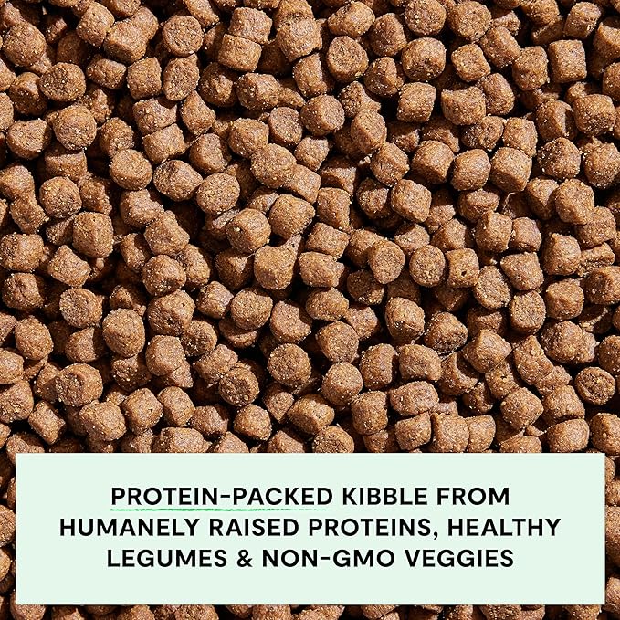 Open Farm, Grain-Free Dry Dog Food, Complete & Balanced Kibble, Sustainably & Ethically Sourced Ingredients, Non-GMO Veggies & Superfoods to Support Overall Health, Pork Recipe, 22lb Bag
