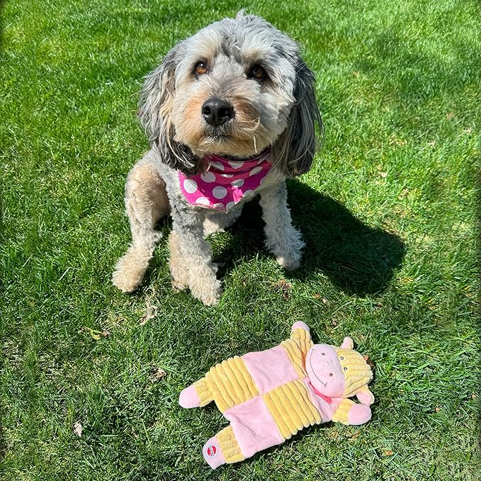 SPOT Soothers- Crinkle Paper Dog Toy-Separation Anxiety Toys for Dogs, Stuffing Free, Scented with Calming Lavender Fragrance Beads to Safely Calm & Relax Dogs and Puppies, 13in